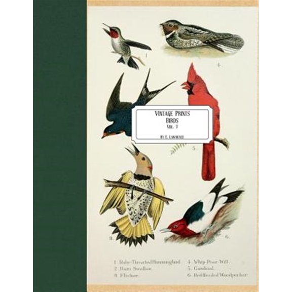 Pre-Owned Vintage Prints: Birds: Vol. 7 (Paperback) by E Lawrence