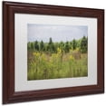 thumbnail image 2 of Trademark Fine Art "Goldenrod Fence" Canvas Art by Kurt Shaffer, White Matte, Wood Frame, 2 of 4