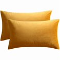 thumbnail image 1 of Chenchen Gold 16x24 inch Pillow Cover Set of 2 Soft Decorative Lumbar Velvet Throw Pillow Cases for Couch Bed Sofa Zippered Closure Luxurious Velvet Fabric Machine Washable Home Decor, 1 of 1