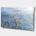 thumbnail image 2 of Leafless Winter Branches - Landscape Canvas Art Print, 2 of 4