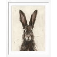 thumbnail image 2 of Art.com European Hare I Art Print by Ethan Harper, White Frame Wall Art, 32" x 40", 2 of 5