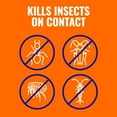 thumbnail image 4 of TERRO 3 lb Ant Killer Plus Multi-Purpose Insect Control, 4 of 11