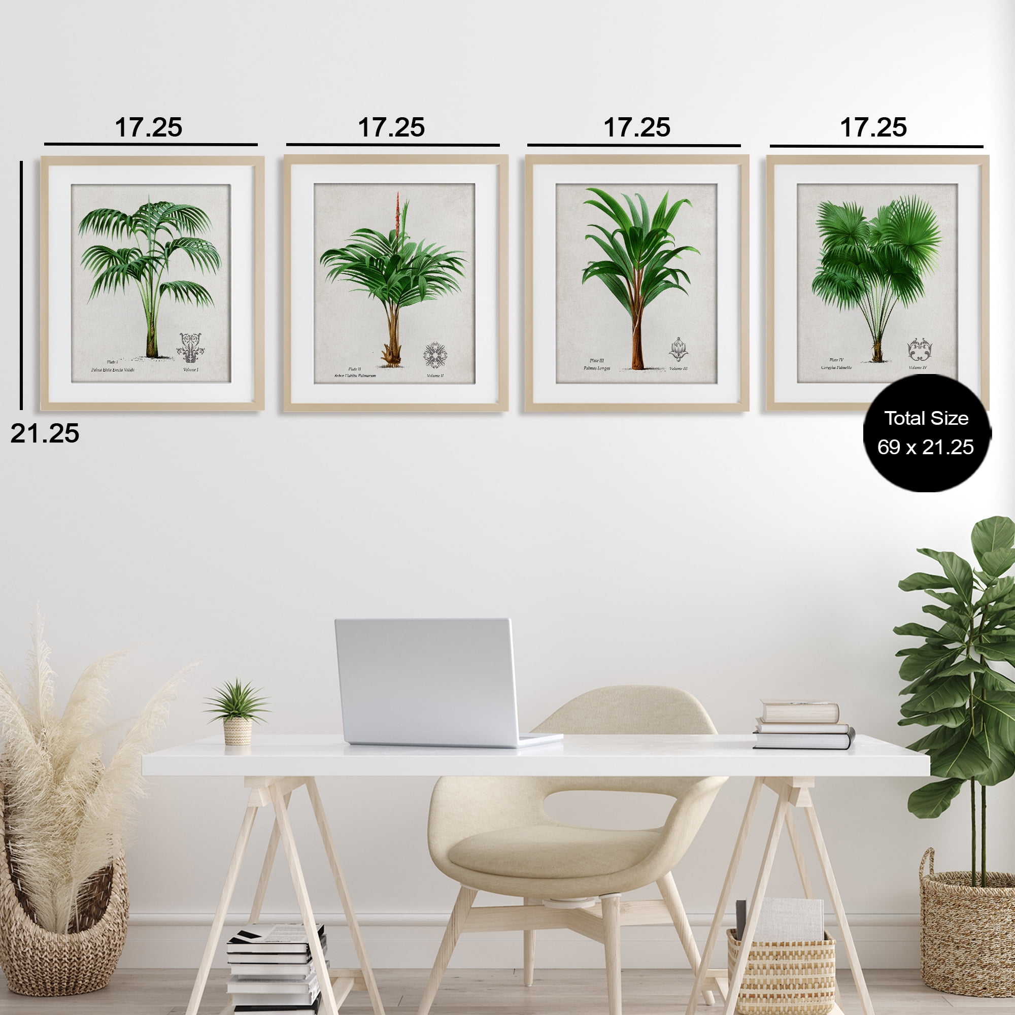 Stupell Industries Palm Varieties Studies 4 Piece Birch Framed Print Under Glass Set, design by Natalie Carpentieri