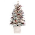 thumbnail image 1 of Haute Decor 4 Foot Pre-Lit Frosted Ashcroft Fir Potted Christmas Tree, 1 of 6