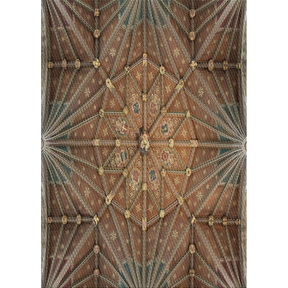 Ahgly Company Machine Washable Indoor Rectangle Transitional Orange Salmon Pink Area Rugs, 8' x 12'