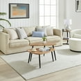 thumbnail image 6 of Aurora Asymmetrical Modern Oval Teardrop 2 Piece Semi-Nested Modular Coffee Table Set - Natural Brown/Black, 6 of 20