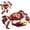 Crabe, variante sur Blocs de Construction d'Animaux Marins 2 en 1 Créatures des Grands Fonds Ensembles de Jouets de Construction Jouets d'Animaux Marins pour Garçons et Filles de 6 à 14 Ans Cadeau Créatif pour Anniversaire Noël