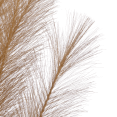 thumbnail image 2 of Bouclair Tige Synthétique Beige, 2 of 2