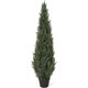 thumbnail image 1 of 3/4/5ft artificial cedar tree-home decor fake cypress potted imitation evergreen plants para indoor y outdoor front porch garden (4ft 1pcs), 1 of 5