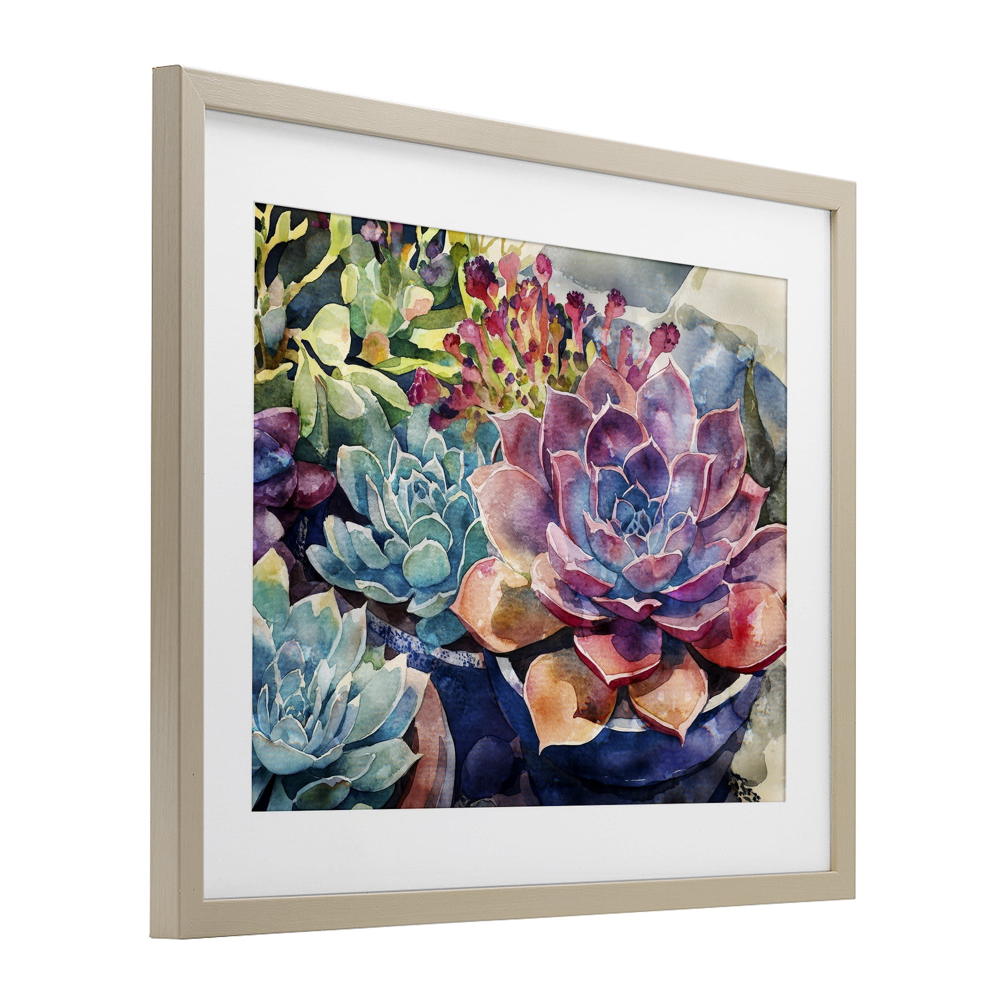 Stupell Industries Sun Kissed Succulents Birch Framed Print Under Glass, design by Svetlana Aleynikova
