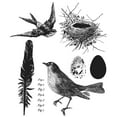 thumbnail image 2 of Tim Holtz Cling Stamps 7"X8.5"-Bird Feather, 2 of 2