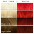 thumbnail image 4 of Arctic Fox Vegan and Cruelty-Free Semi-Permanent Hair Color Dye (8 Fl Oz, Poison) 8 Fl Oz, 4 of 6