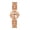 Rosegold, variant on Women's Watches Vintage Roman Numeral Dial Watch for Women Luxury Small Wristwatch with Stainless Steel Band
