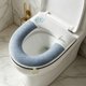 thumbnail image 4 of Full Of Ice Sensation Toilet Seat Cushion For All Seasons Thick And Washable Waterproof Seat Cushion With Handle For Household Use, 4 of 6