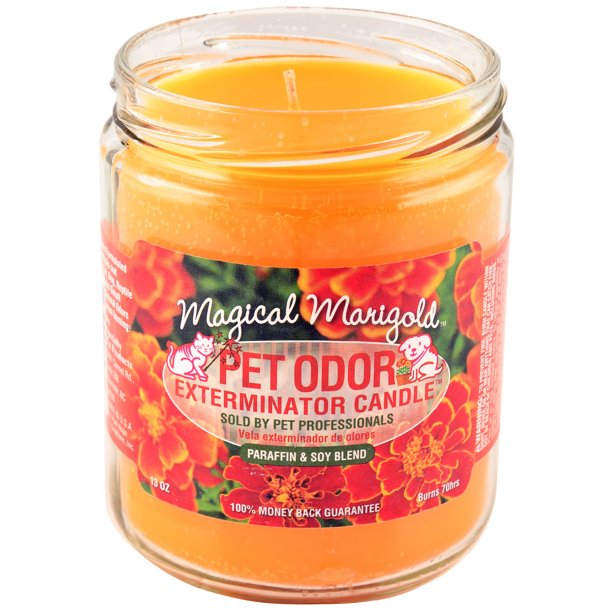 Magical Marigold Pet Odor Exterminator Candle Walmart Com Walmart Com