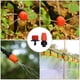 thumbnail image 3 of Sistema de riego, herramientas de jardín, Kits de riego por goteo, manguera de riego automática con instalación práctica ajustable, ahorro de agua, 3 of 5