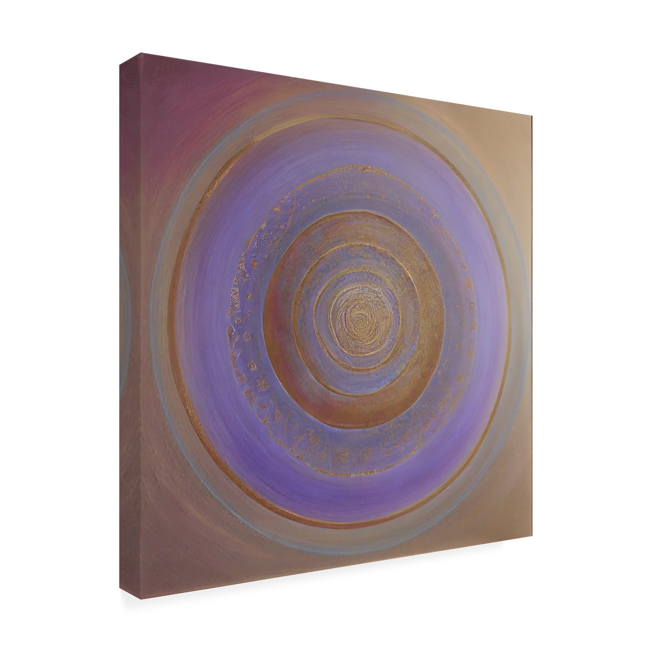 Canvas Wall Art - Sasha 'Anima Rising' Wall Art for Living Room, Bedroom, or Office Décor by Trademark Fine Art - 24 x 24 Inches