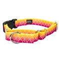 thumbnail image 3 of Country Brook Petz® Fabulous Ombre Martingale with Plastic Buckle Limited Edition, Extra Small, 3 of 5