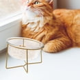 thumbnail image 4 of WRITWAA 1Pcs Bol de Nourriture pour Animaux en Verre Transparent Design à Base Haute Oblique Dorée pour Chien Chat, 4 of 6