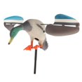 thumbnail image 4 of Jouet Canard de Chasse avec, 4 of 8
