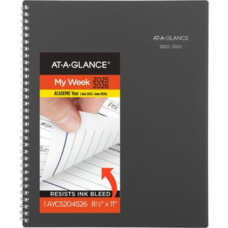 At A Glance AAG760205 Quick Notes Weekly & Monthly Planner