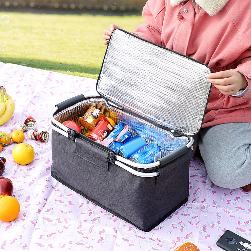 collapsible picnic bag