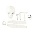thumbnail image 4 of Skull Windmill Skull Gyratory Windmill Wind Spinner Front Yard Decor, 4 of 6