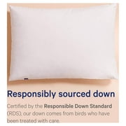 Casper Sleep Down Pillow, Standard