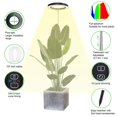 thumbnail image 1 of Plant Grow Light Floor Lamp Floor Model Full Spectrum Sunlight Large Potted Plant Fill Light 3/9/12 Hours Timing 10 Levels Dimming, 1 of 5