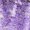 Purple, variant on FRSASU Women's Fashionable Printed Long Sleeved Casual Loose T-shirt Round Neck Top Long Sleeved Round Neck Top Rose Gold