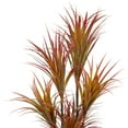 thumbnail image 5 of Northlight Real Touch™️ Green and Red Artificial Dracaena Potted Plant - 54", 5 of 7