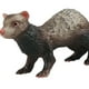 thumbnail image 5 of Figuritas de hurón, figuras en miniatura de animales, modelo de juego de animales, juguete educativo de ciencia, recuerdos de fiesta para niños Hugo Juguetes de simulación, 5 of 10