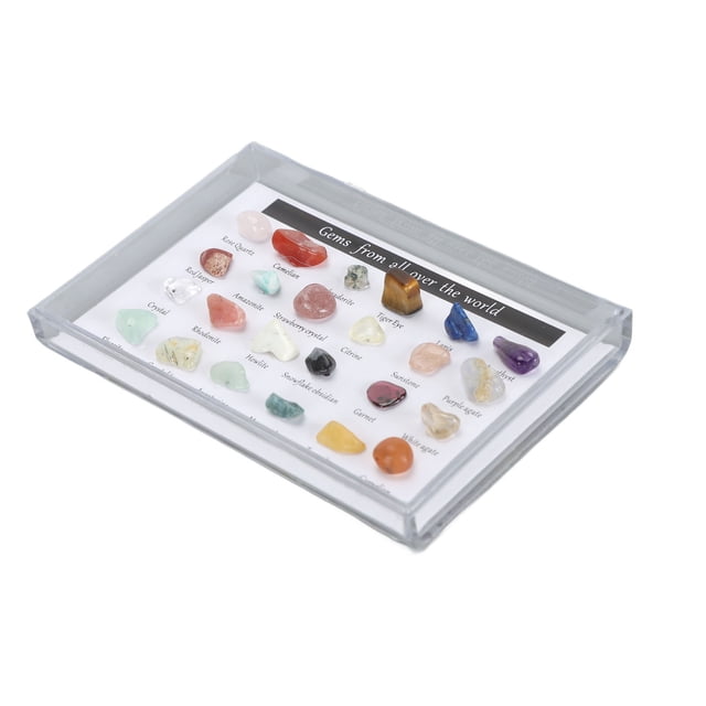 Kit de Collection de Roches Minérales Amusant et Éducatif pour Enfants Présentoir Clair Inclus