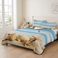 thumbnail image 2 of Full Quilt Set 78''x90'', Beach Coastal Lightweight Bedspread Coverlet Set with 2 Pillow Shams, Summer Seaside Shell Starfish Nautical Breathable All Season Quilt Bedding for Bedroom/Guest Room, 2 of 9