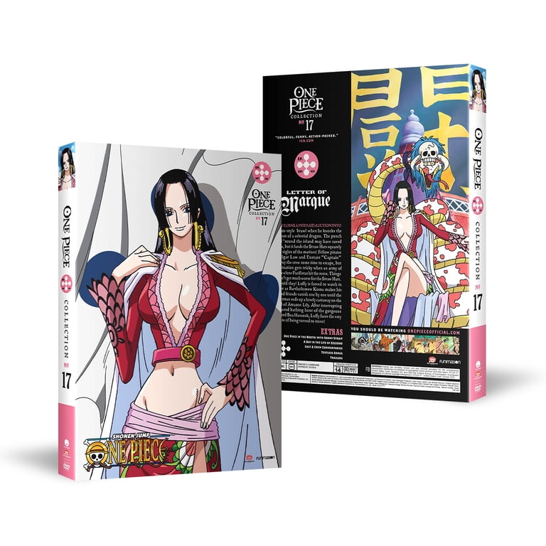 New One Piece: Collection 17 (Uncut / DVD) - Walmart.com