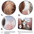 thumbnail image 3 of Designart "Alpacas beautyful Alpacas II" Animals Floater Framed Canvas Wall Art, 3 of 7