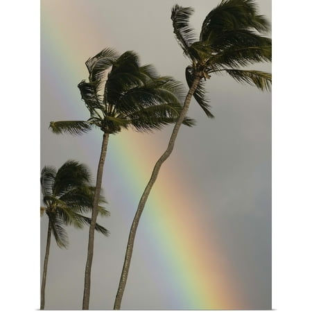 Great BIG Canvas | Rolled Ron Dahlquist Poster Print entitled Hawaii, Three Palm Trees Bend In The Wind With A Large Vibrant Rainbow