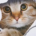 thumbnail image 5 of 1 piece stiker Cute Cat Toilet Sticker Living Room Kitchen Decoration Removable Wall Art Practical Sticker, 5 of 5
