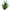 Green, variant on Bdday Cute Room Decor Tequila Iron Crafts Plant Garden Garden Ornament Wall Decor for Bedroom