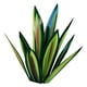 thumbnail image 5 of Escultura de planta de tequila | Adorno de jardín de agave azul artesanal | Arte de jardín de metal de 55 cm de alto | Decoración única para el hogar | Decoración decorativa para interiores y, 5 of 5