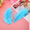thumbnail image 2 of 300Pcs Colorful Feathers for DIY Craft Wedding Home Party Decorations(Blue), 2 of 5