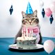 thumbnail image 5 of Babero de Cumpleaños Wosthever para Perros y Gatos Rosa 6 Pulgadas Resistente y Duradero, 5 of 6
