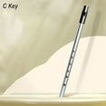 thumbnail image 1 of Irish Whistle Flute C D Bb Key 6Hole Flute for Woodwind Instrument with Bags Silver C Key, 1 of 9