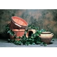 thumbnail image 2 of C. Thomas McNemar 18x13 Gallery Wrapped Canvas Wall Art Titled - Pottery with Ivy II, 2 of 4