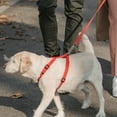 thumbnail image 4 of WEUVEB Ressort de Tension pour Laisse de Chien Ressort en Acier Inoxydable 1ensemble, 4 of 8