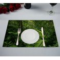 thumbnail image 1 of EREHome Tropical Rain Forest Costa Rica Placemat Table Mat Cup Mat 12x18 inch,Set of 2, 1 of 2