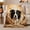 Panting Collie, variant on Adorable Border Collie Dog Wrapped Chunky Knit, Festive Pet Portrait Pattern, Warm Flannel Blanket for Living Room and Bedroom, Dog Lovers Just Because Gift, Pet Lover Home Decor