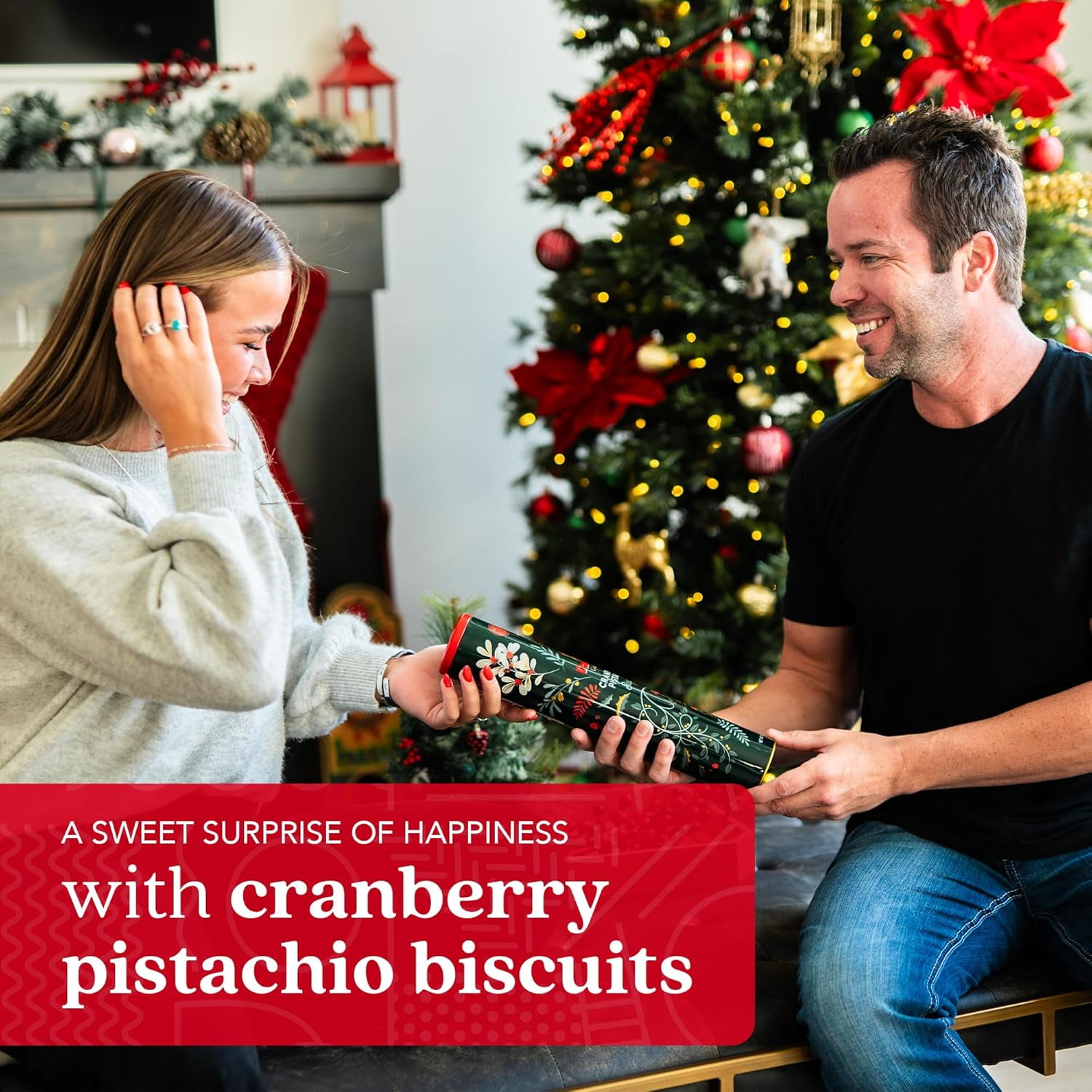David's Cookies Cranberry Pistachio Biscuits, Handcrafted Gourmet Cookies, 264 g, 2-Pack