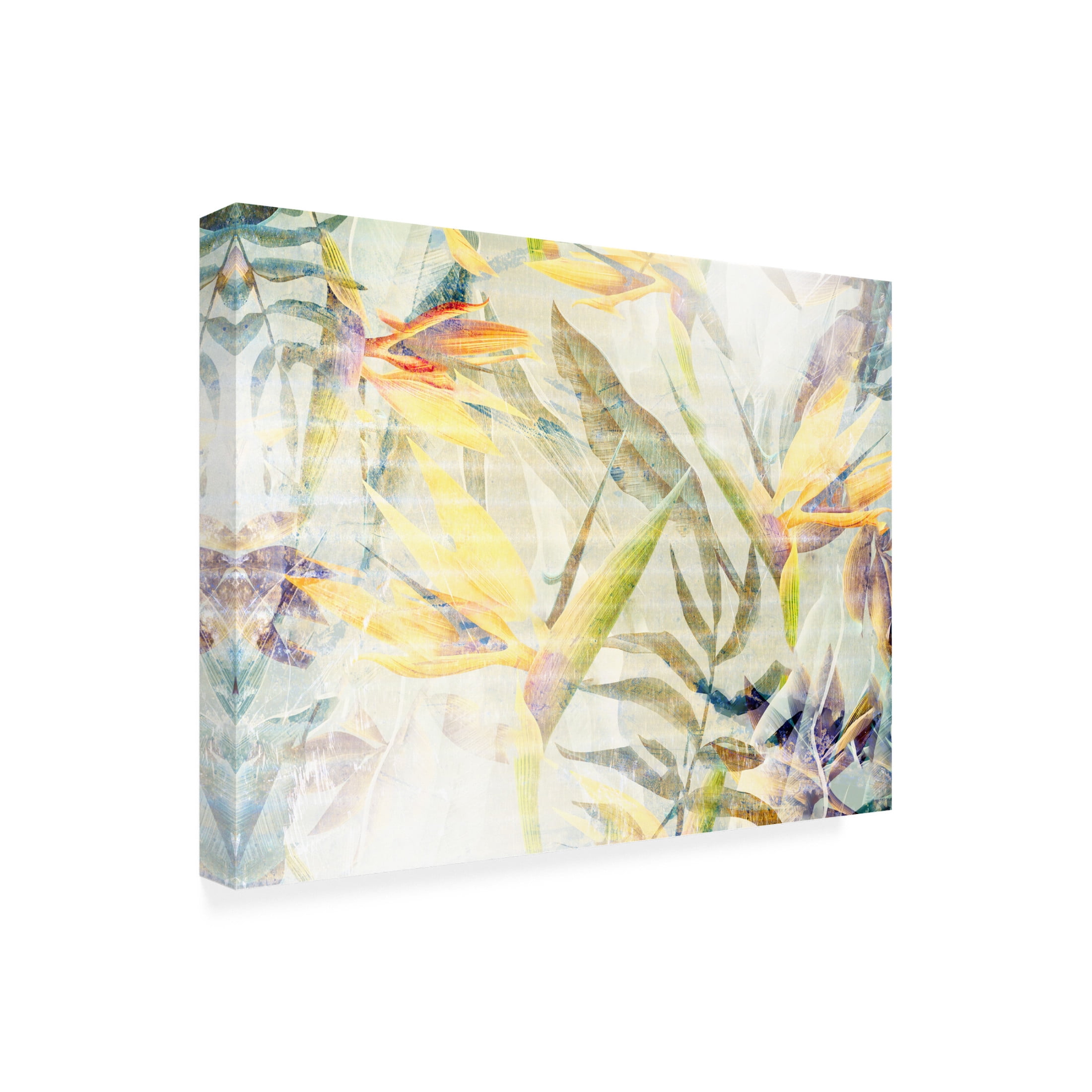 Trademark Fine Art Rafal Kulik  Ombre jungle Canvas Wall Art