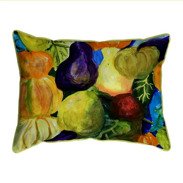 Betsy Drake ZP1159 20 x 24 Po Gourdes II Zippée Intérieure & 44; Oreiller Extérieur et Extra Large